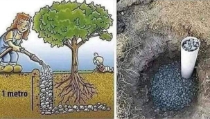 Avusturalya'da yaygın olarak uygulanan harika bir sistem