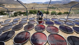 Hayatımıza doğal tat katalım