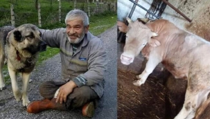 İNEĞİNİN ÖLÜMÜNE ÜZÜLÜP KALP KRİZİ GEÇİRDİ, HASTANEDE YAŞAMINI YİTİRDİ 