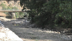 Küresel ısınma etkisiyle Karadeniz'deki dereler kurumaya başladı