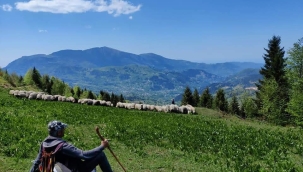 Sürü yöneticisi desteği yıllık 6.000 TL'den 12.000 TL'ye çıkarıldı... 