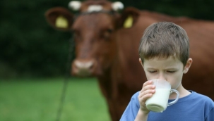 Süt piyasasında ipler koptu!