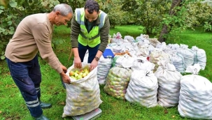 ALTINORDU'DA YEREL ÜRÜNLER EKONOMİK BİR DEĞERE DÖNÜŞÜYOR 