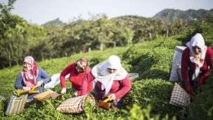 Daha neyi bekliyoruz?.. üretmek zorundayız..