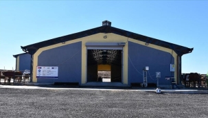 Devlet desteğiyle kurdukları çiftlikten günlük 600 litre süt elde ediyorlar