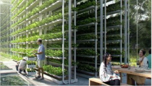 Dikey tarım projeleri yapan dünyaca ünlü tasarımcılar var..