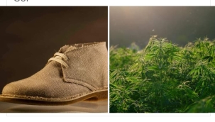 KENDİR (KENEVİR) BİR BAĞIMSIZLIK ÜLKÜSÜ