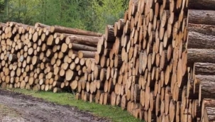 Odun arzının tehlikeli bir biçimde artması ne ifade ediyor?