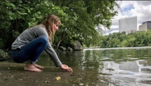 Orman banyosu nedir?