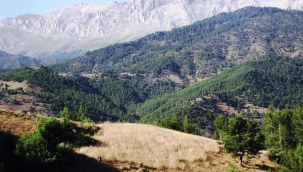 "Şu aşağıdaki tarlaya 20 yıl önce buğday ekmiştik, kaldırdık koyduk ambara. 20 yıldır öğütüp onu yiyoruz…"