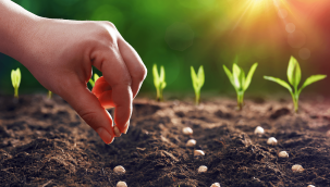 Tarım ve Orman Bakanlığı "Tarım Müşavirliği" kuracak