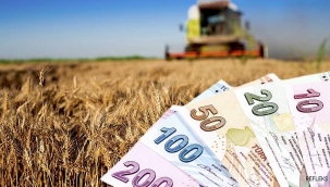 Tarımsal desteklerde bir ilk! Erkene alınan mazot gübre desteği Ziraat Bankası'ndan sağlanacak finansmanla ödenecek