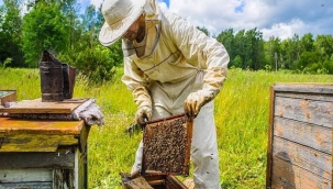 ARICILIĞIN BİLİNMEYENLERİ 