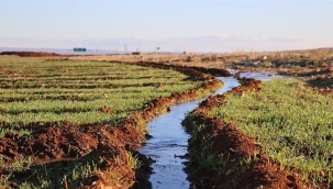 Bakan Kirişci'den 81 ile "su seferberliği" mektubu
