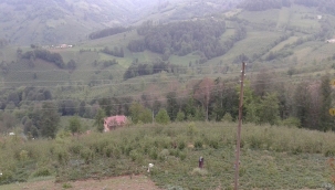 KIRSAL KALKINMA DESTEKLERİ KAPSAMINDA TEBLİĞDE DEĞİŞİKLİĞE GİDİLDİ