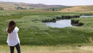 Mahkeme kararını verdi, Kaz Gölü kurtuldu