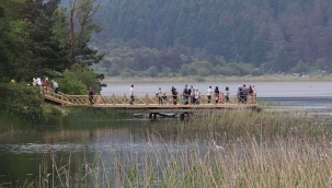 Milli parklarda ziyaretçi kullanım politikası ne olmalı? 