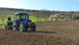TİGEM tohumluk patates üretimi için arazi kiraya verecek 