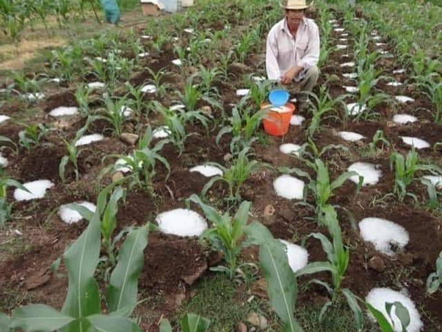 TOZ SU KURAKLIĞI BİTİRECEK