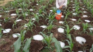 TOZ SU KURAKLIĞI BİTİRECEK