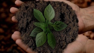 5 Aralık Dünya Toprak Günü!  