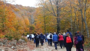 Amanoslarda kayın ormanlarımızı niçin korumalıyız?
