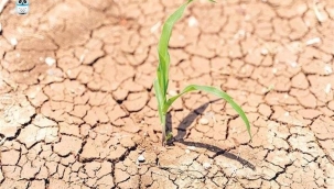 Dikkat! Şu an kuraklıktan dolayı kentlerin su bütçesi açık veriyor ama kimse farkında değil. ..