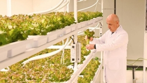 İSTANBUL KAPALI DİKEY TARIM UYGULAMA MERKEZİ HİZMETE AÇILDI