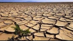 Küresel ve ulusal bir su krizi yaşıyoruz. Şimdi doğaya dönüş zamanı ....