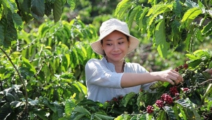 Nestlé, Kahvenin Geleceği için Onarıcı Tarıma 1 Milyar İsviçre Frangı Yatırım Yapacak