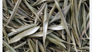 ŞU ZEYTİN NE GÜZEL BİR NİMET AMA...