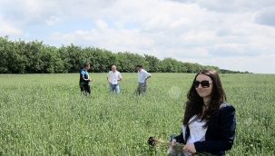 TARIMDA FAYDALI MİKROORGANİZMALAR KULLANIMI