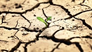Türkiye'nin kuraklık gerçeği