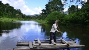 İklim değişikliği, milli parkların ve diğer korunan alanların şimdiye kadar karşılaştığı en büyük tehdittir. 