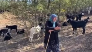 SÜT, YOGURT, PEYNİR ET YİYENLERİN VE YÖRÜK TÜRKMEN DERNEKLERİNİN DİKKATİNE