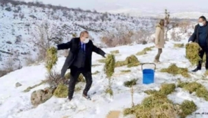 Yaban hayvanlarını beslemek doğru bir yaklaşım mı?