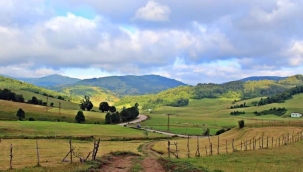 Bütün Afetlerin Altında Ekoloji Bilgisi Yetersizliği ve İnsan Faktörü Görülmektedir 