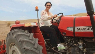 Çiftçiler dikkat: Sigorta zorunluluğu geliyor! Sözleşmeli tarım ürünleri için flaş karar