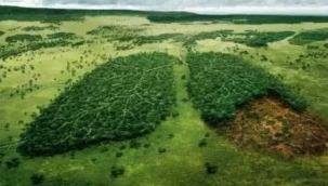 Hepimizin nefes almak için temiz havaya ihtiyacı var.