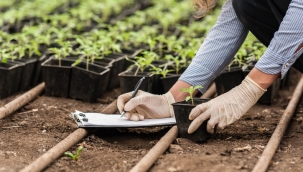 100 Tarım Ekonomisi Yanılgısı