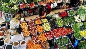 En besleyici 20 bitkisel yiyecek