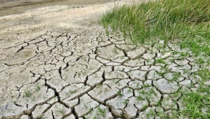 İklim değişikliği Türkiye'yi nasıl etkileyecek?