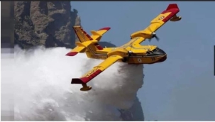 Orman yangınını söndürmek için tuzlu su kullanabilir miyiz? 