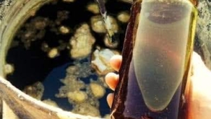 TARIMSAL ÜRETİM BİR BİLİMDİR