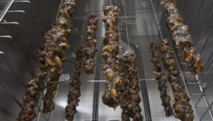 GİRİŞİMCİ KADINLAR TÜRKİYE'DE İLK KEZ ÜRETTİKLERİ KİVİ SUCUĞUNUN PATENTİNİ ALDI