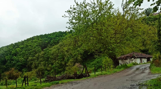 Kırsal yaşam özgürlüktür, köyler özgürlüktür.