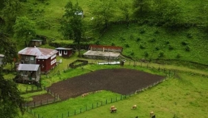 Kuşlar ve tarım birbirini dışlamak zorunda değil!