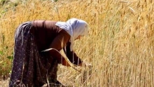 Toprak Satmak Örtülü Savaşı Kaybetmektir