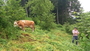 5'Lİ KABA YEM KARIŞIMI TOHUMU EKEN ÜRETİCİLER MUTLU