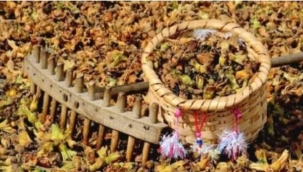 AH YİNE YEŞERDİ FINDIK DALLARI